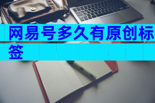 网易号多久有原创标签