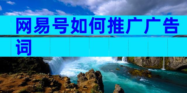 网易号如何推广广告词