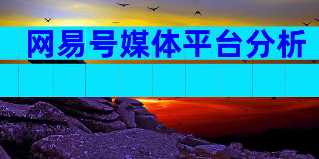网易号媒体平台分析