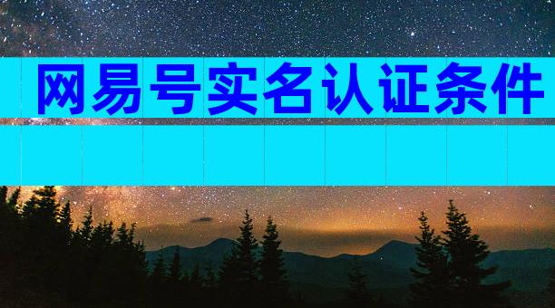 网易号实名认证条件