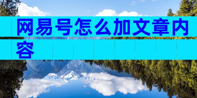 网易号怎么加文章内容