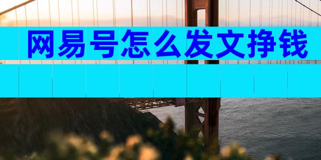 网易号怎么发文挣钱