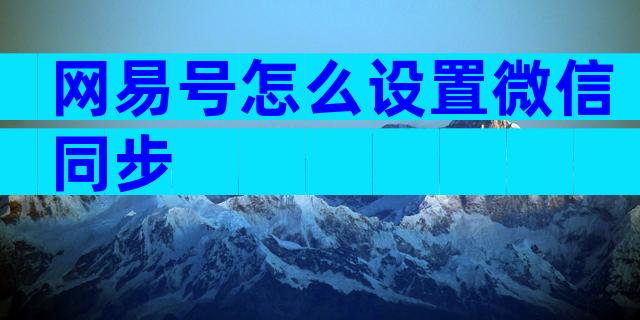 网易号怎么设置微信同步