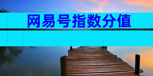 网易号指数分值