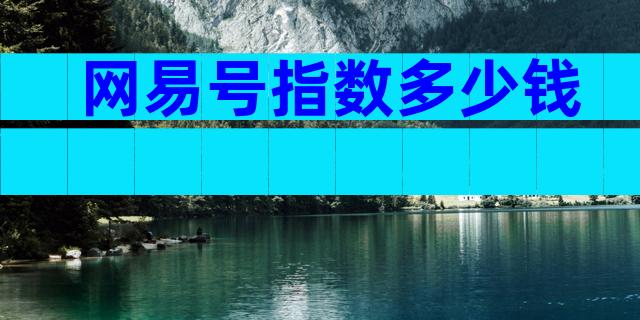 网易号指数多少钱