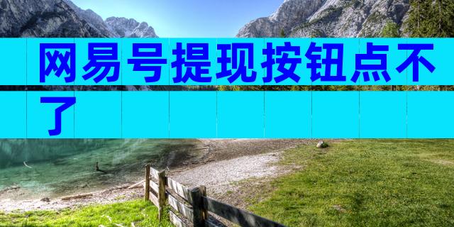 网易号提现按钮点不了