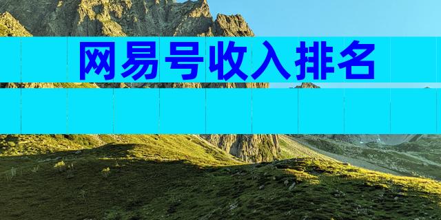 网易号收入排名