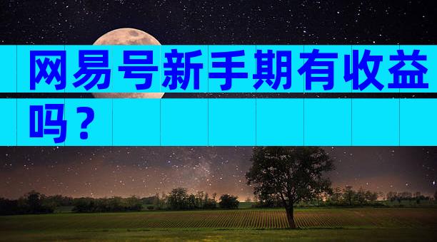 网易号新手期有收益吗？