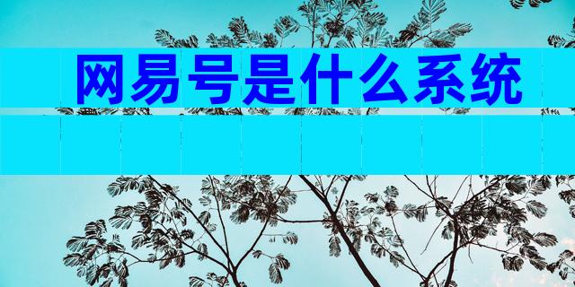 网易号是什么系统