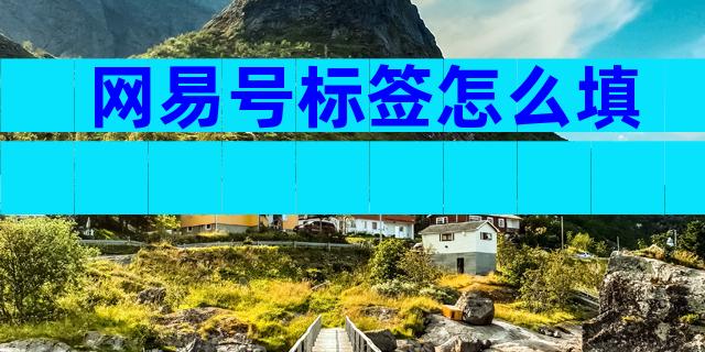 网易号标签怎么填