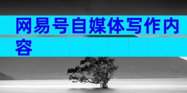 网易号自媒体写作内容