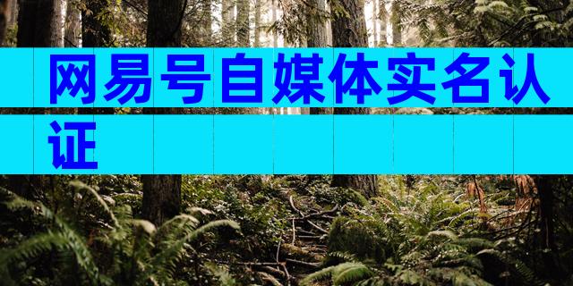 网易号自媒体实名认证