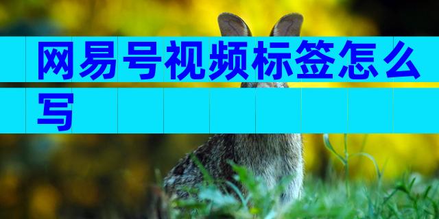网易号视频标签怎么写