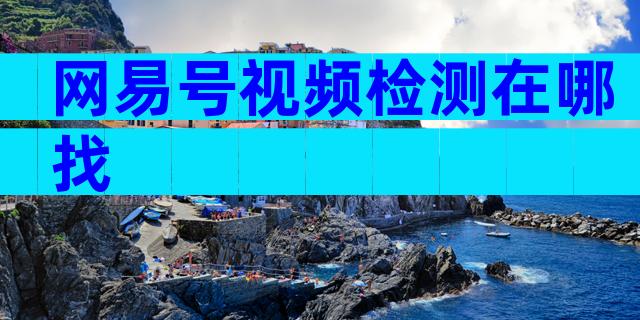 网易号视频检测在哪找