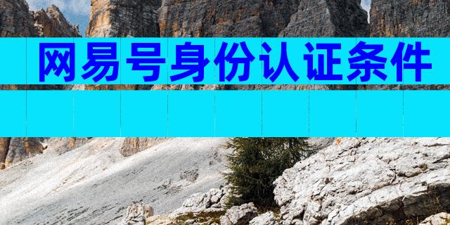 网易号身份认证条件