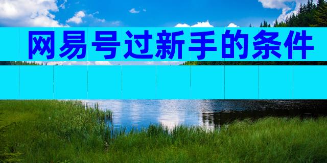 网易号过新手的条件