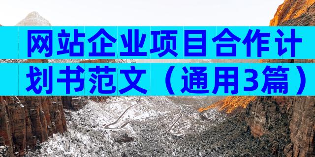 网站企业项目合作计划书范文（通用3篇）