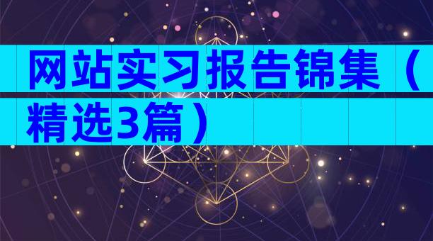 网站实习报告锦集（精选3篇）