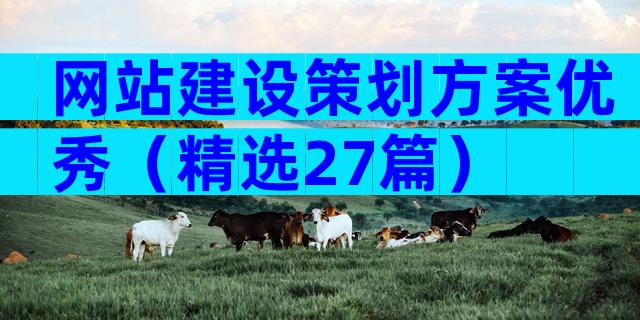 网站建设策划方案优秀（精选27篇）