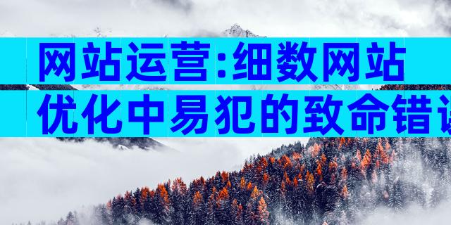 网站运营:细数网站优化中易犯的致命错误