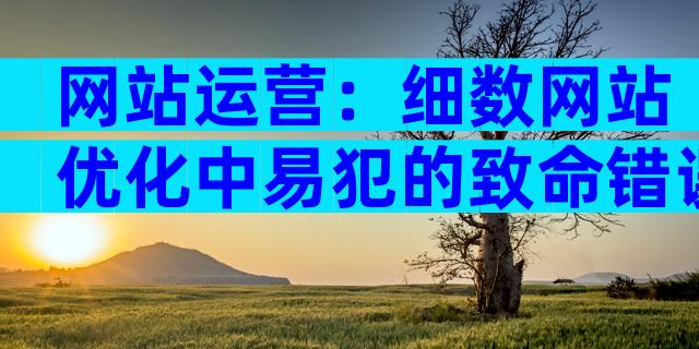 网站运营：细数网站优化中易犯的致命错误
