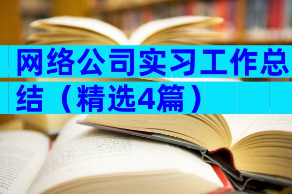 网络公司实习工作总结（精选4篇）