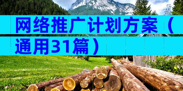 网络推广计划方案（通用31篇）