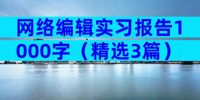 网络编辑实习报告1000字（精选3篇）