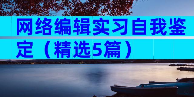 网络编辑实习自我鉴定（精选5篇）