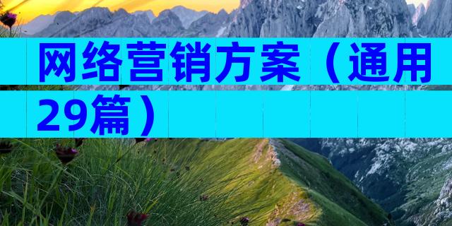 网络营销方案（通用29篇）