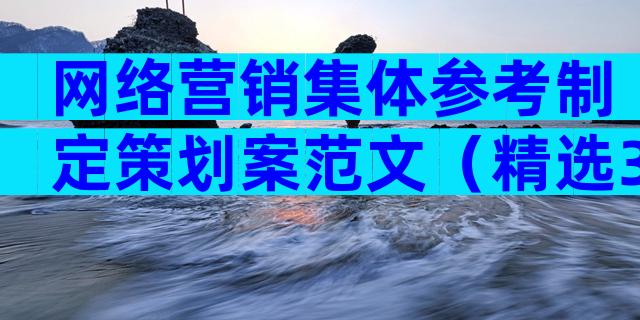 网络营销集体参考制定策划案范文（精选3篇）