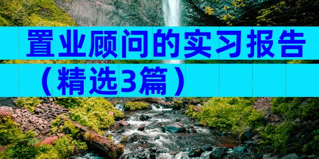 置业顾问的实习报告（精选3篇）