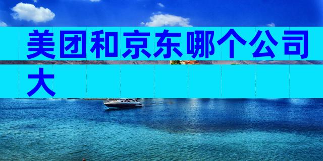 美团和京东哪个公司大