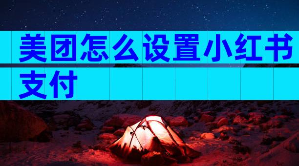 美团怎么设置小红书支付