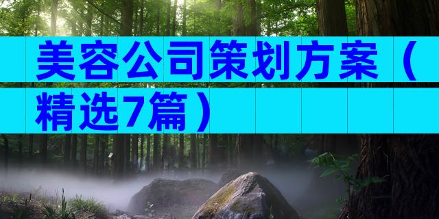 美容公司策划方案（精选7篇）