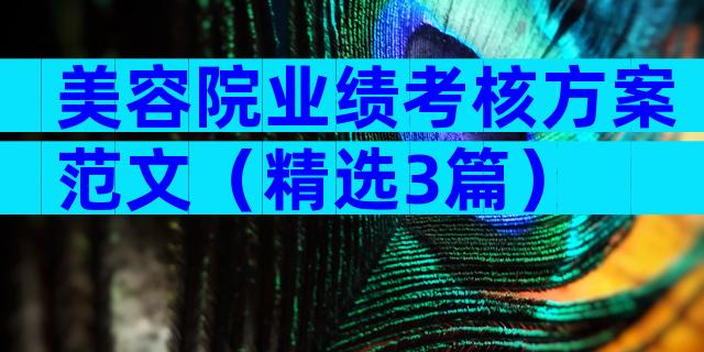 美容院业绩考核方案范文（精选3篇）