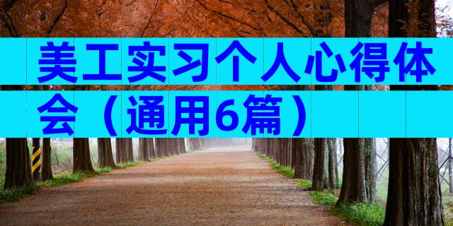 美工实习个人心得体会（通用6篇）