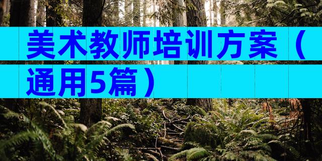 美术教师培训方案（通用5篇）