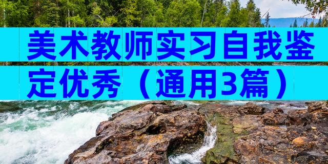 美术教师实习自我鉴定优秀（通用3篇）