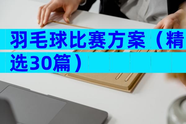 羽毛球比赛方案（精选30篇）