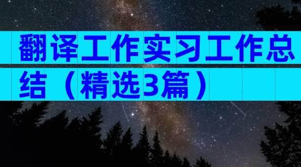 翻译工作实习工作总结（精选3篇）