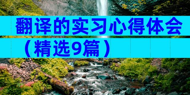 翻译的实习心得体会（精选9篇）