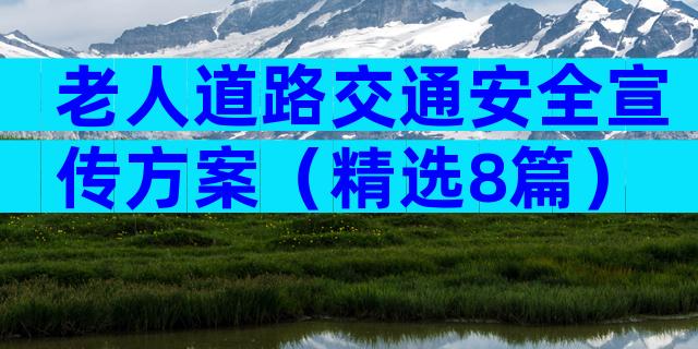 老人道路交通安全宣传方案（精选8篇）