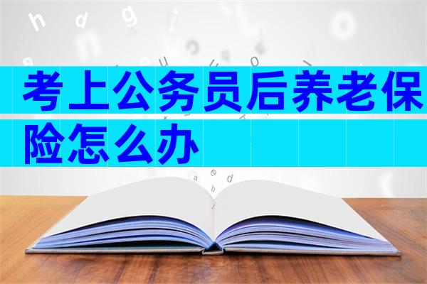 考上公务员后养老保险怎么办