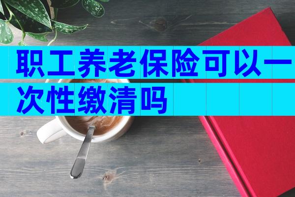职工养老保险可以一次性缴清吗