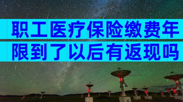 职工医疗保险缴费年限到了以后有返现吗