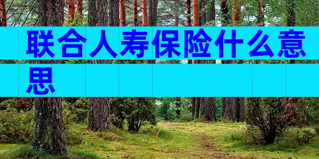 联合人寿保险什么意思