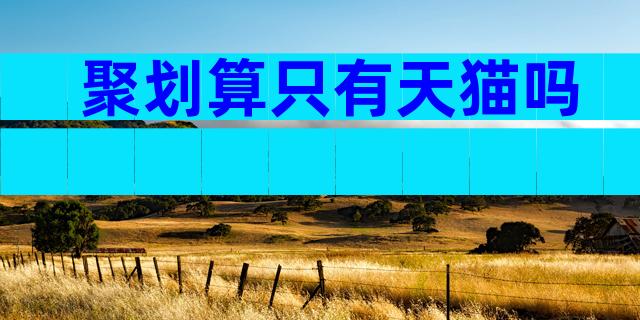 聚划算只有天猫吗