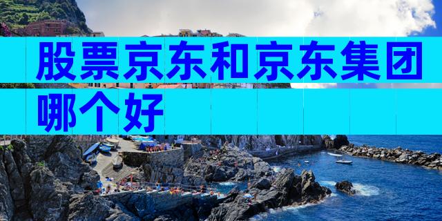 股票京东和京东集团哪个好