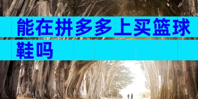 能在拼多多上买篮球鞋吗